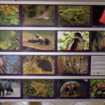 SAMSUNG CAMERA PICTURES