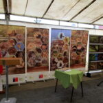 IMG_1112-1