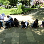 IMG_5289-1