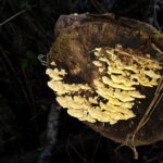 IMG_20190821_110751638-1
