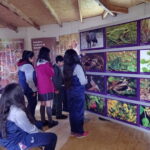 IMG_20190821_121359684-1