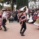IMG_8069-1