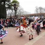 IMG_8261-1