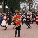 IMG_8279-1