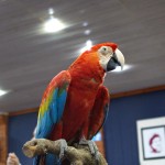 IMG_2236-1