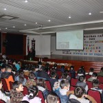 IMG_2336-1
