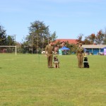 IMG_2364-1