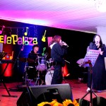 IMG_2481-1