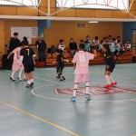 IMG_2828-1