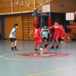 IMG_7686-1
