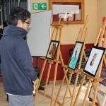 IMG_7904-1