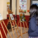 IMG_7906-1