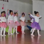 IMG_7934-1