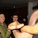IMG_2186-1